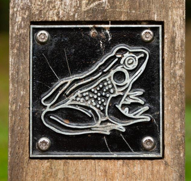 Frog brass rubbing