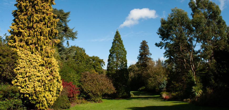Dunorlan Park