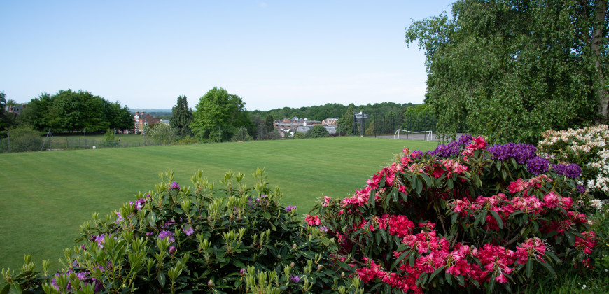 Photo of Calverley Grounds