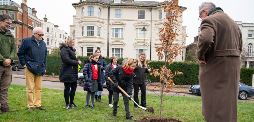 coronation tree Broadwater sch Nov 2023