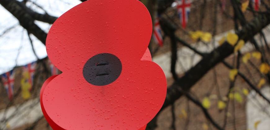 Giant remembrance poppy hanging from a lamp post