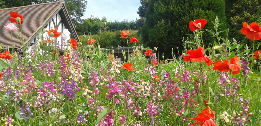 Britain in Bloom 2023