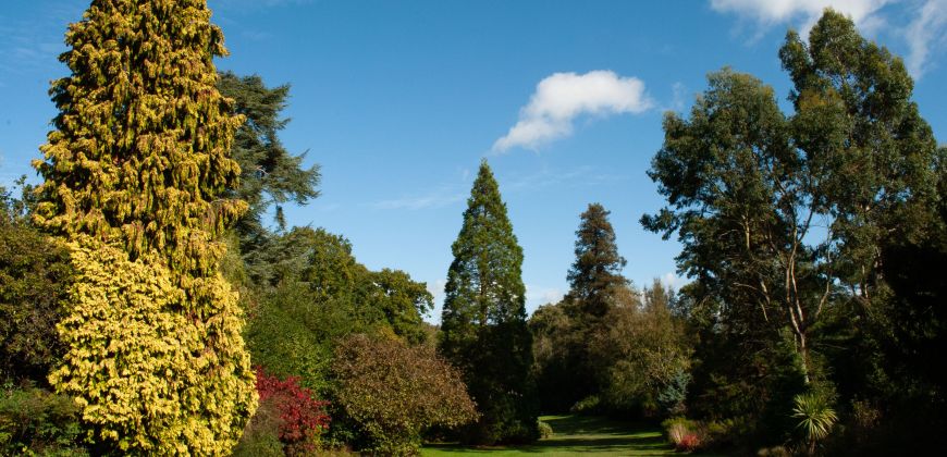 Dunorlan Park